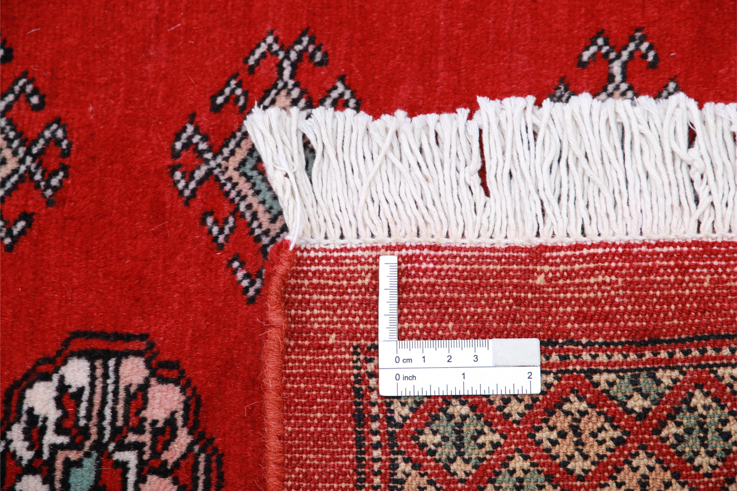 Bokhara Hand Knotted Woolen Rug 6'1" X 9'0"