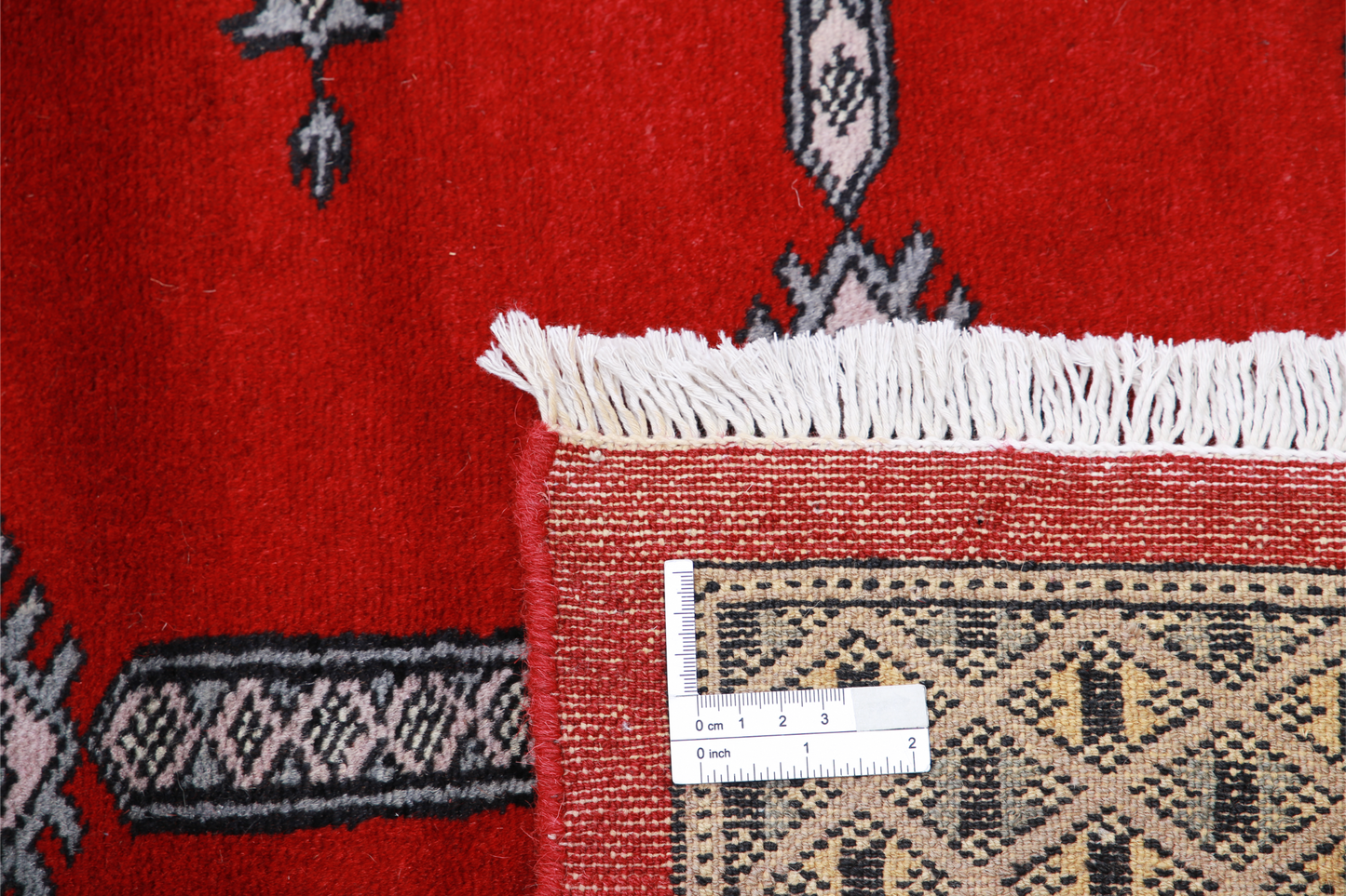 Bokhara Hand Knotted Woolen Rug 8'4" X 10'8"