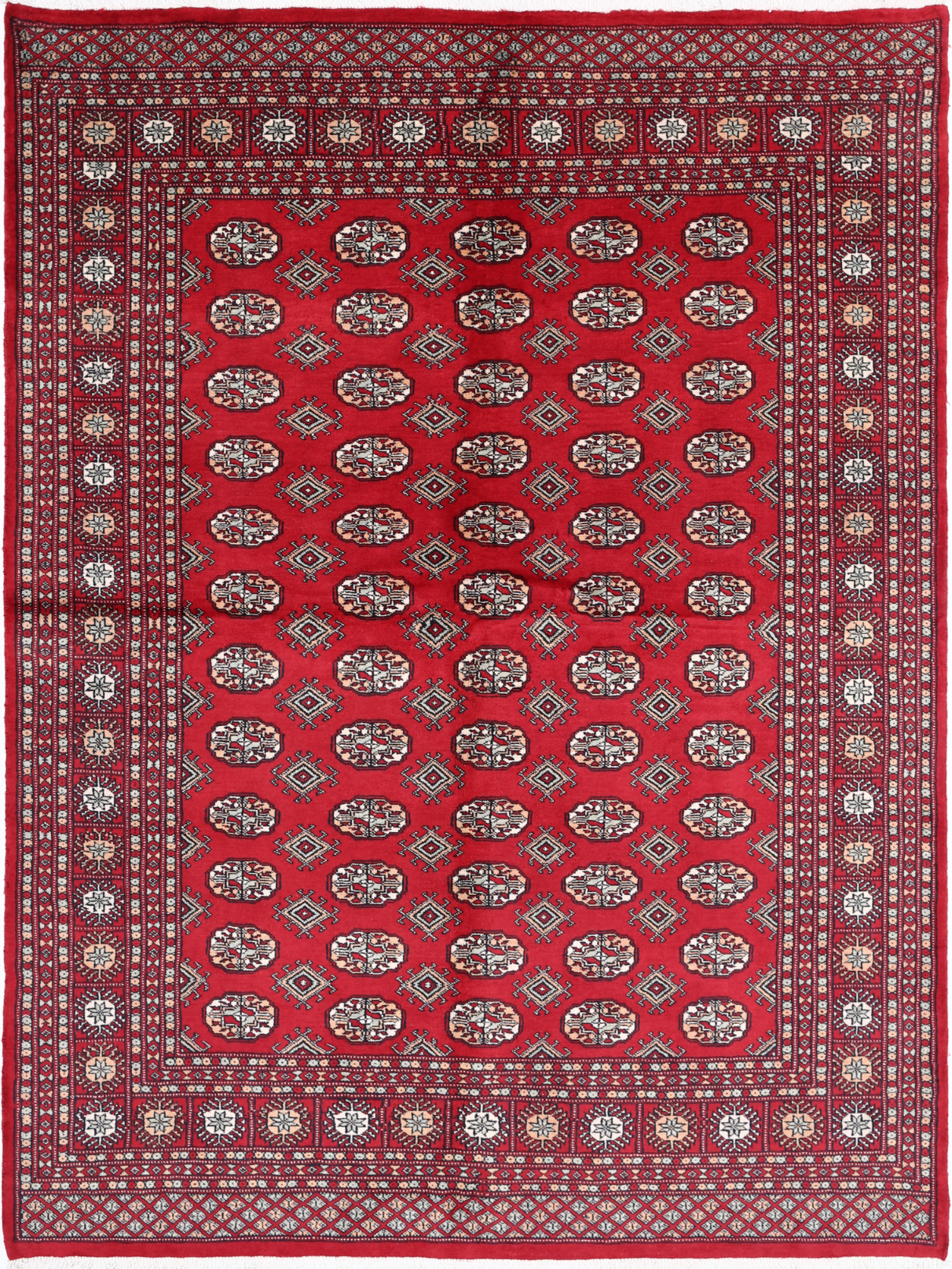 Bokhara Hand Knotted Wool Rug 6' 4" x 8' 7" 6' 4" X 8' 7" (193 X 262) / Red / Wool