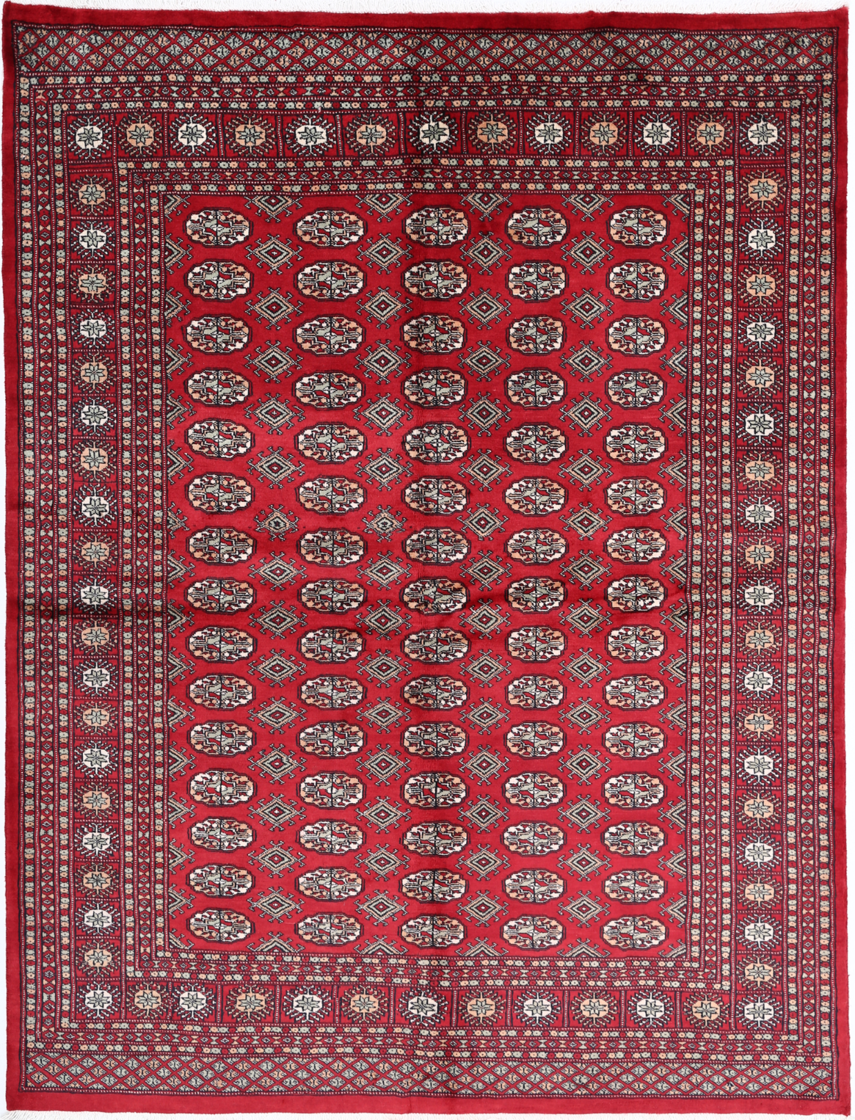 Bokhara Hand Knotted Wool Rug 6' 4" x 8' 3" 6' 4" X 8' 3" (193 X 251) / Red / Wool